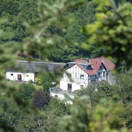 Ferienwohnung Schaefer Waldbreitbach Экстерьер фото