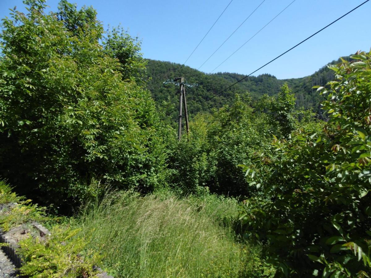 Ferienwohnung Schaefer Waldbreitbach Экстерьер фото