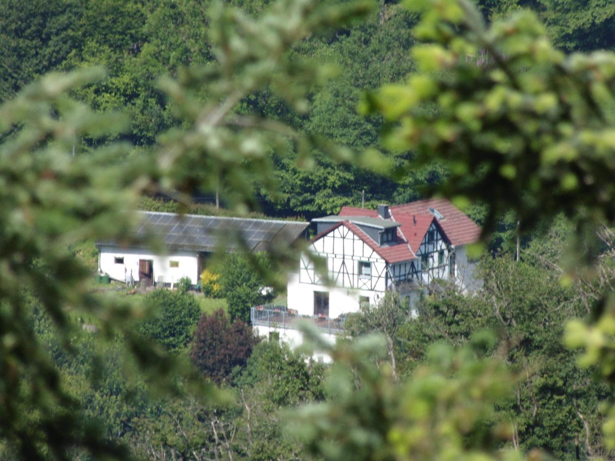 Ferienwohnung Schaefer Waldbreitbach Экстерьер фото