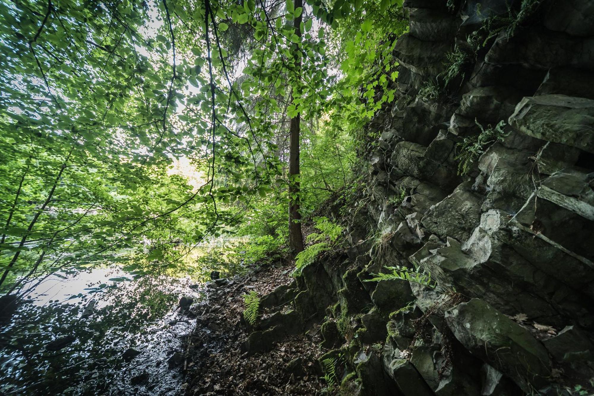 Ferienwohnung Schaefer Waldbreitbach Экстерьер фото